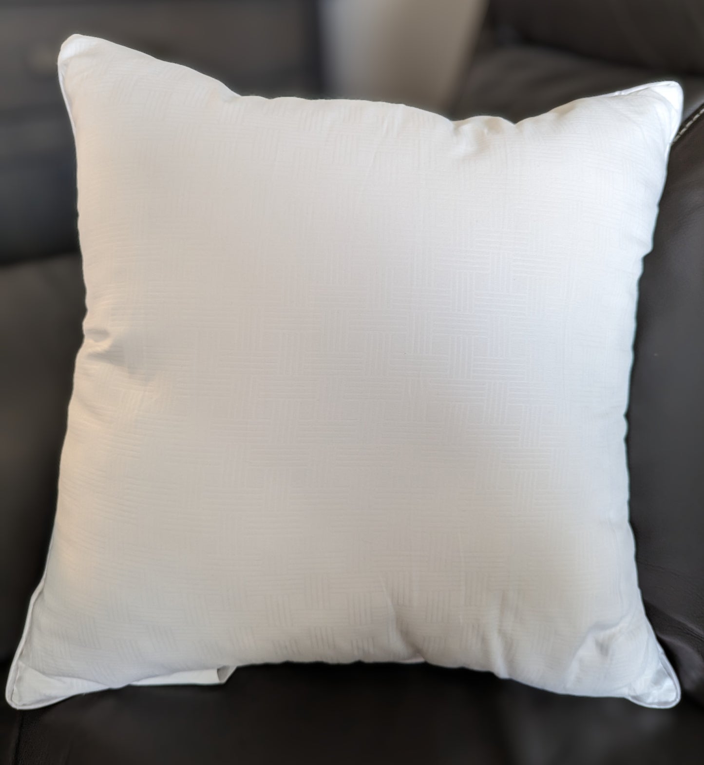 Coussin pour recouvre coussin