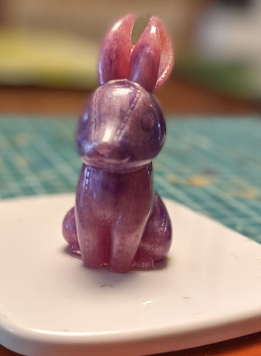 Petit lapin